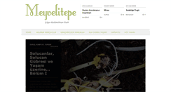 Desktop Screenshot of blog.meyvelitepe.org